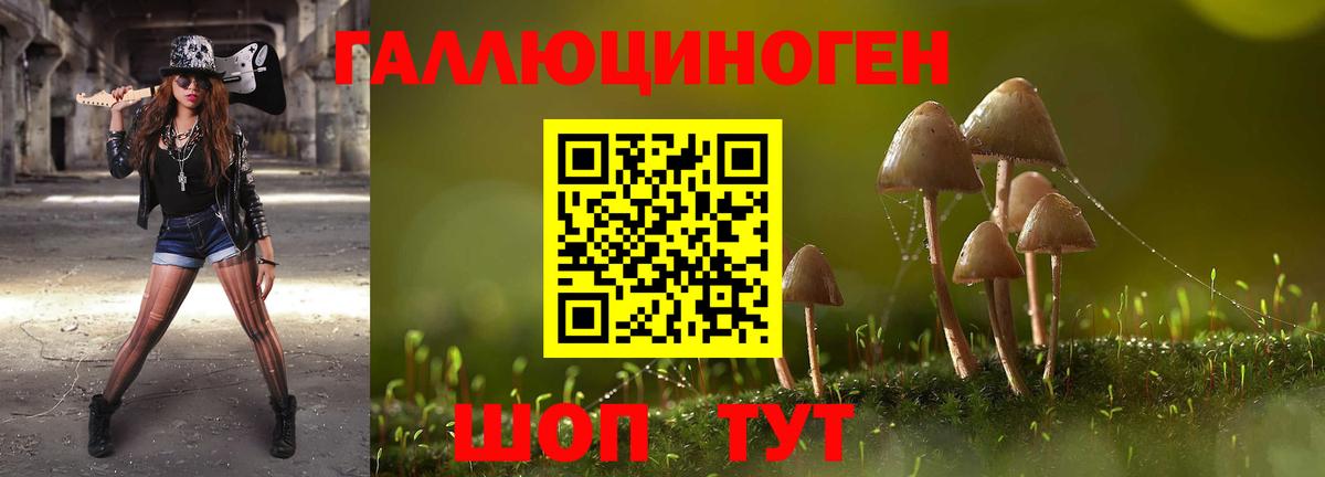 Псилоцибиновые грибы GOLDEN TEACHER Краснокаменск